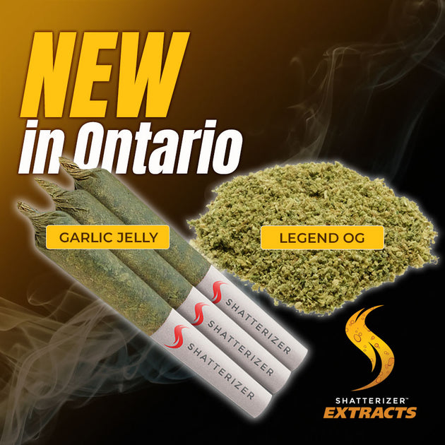 Featuring Ontario! Shatterizer Extracts Canada